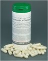 Glucosamin + Chondroitin  90 Kapseln/ 61 g 