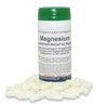Magnesium 90 Kapseln/ 41 g 